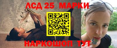 spice Моздок
