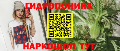 spice Моздок