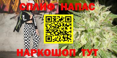spice Моздок