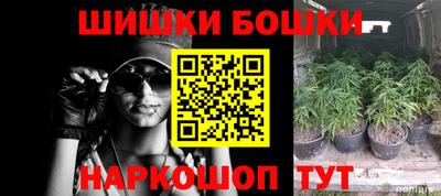 прущие крисы Можга