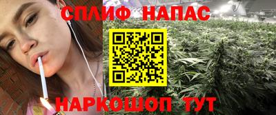 прущие крисы Можга